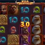 buffalo slot machine strategy